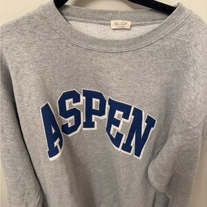 Brandy Melville Aspen Gray Sweater